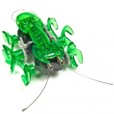 Hexbug Ant 10